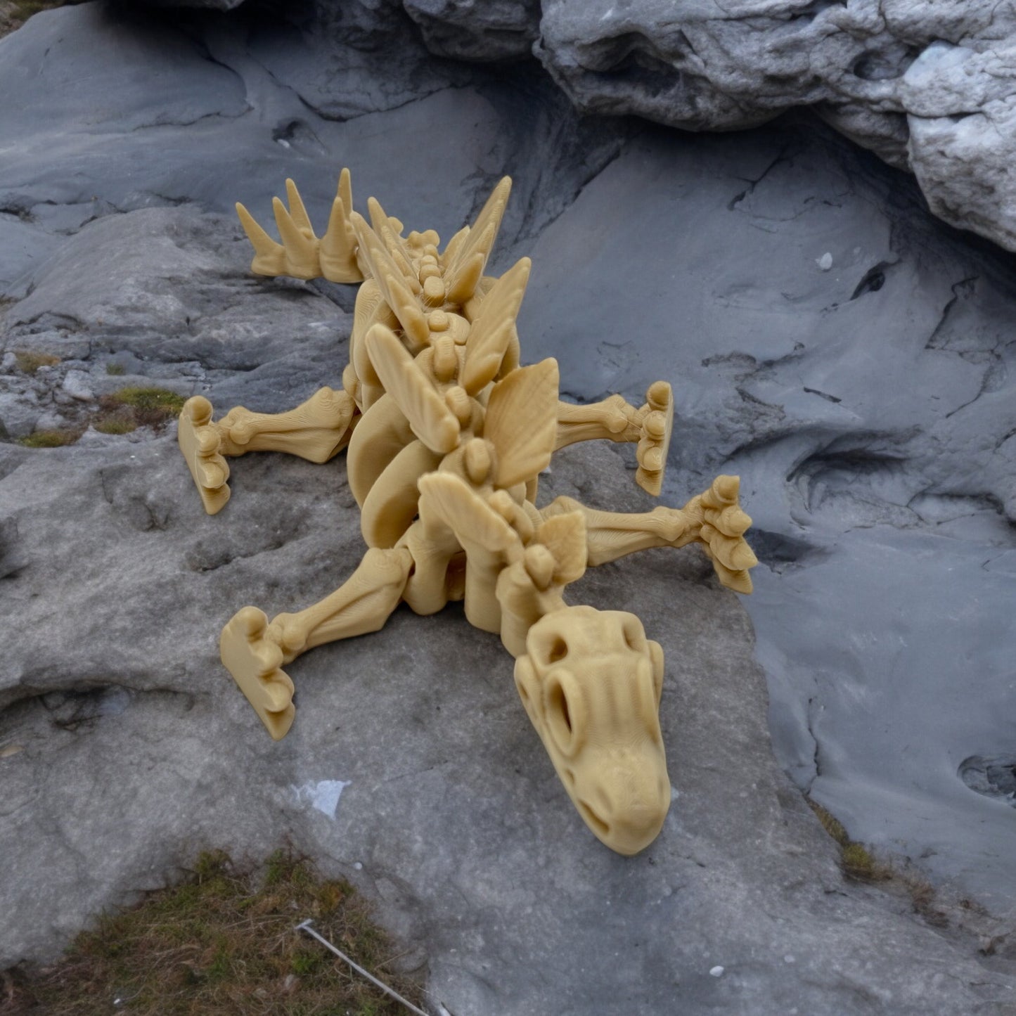 Skeleton Stegosaurus - Medium