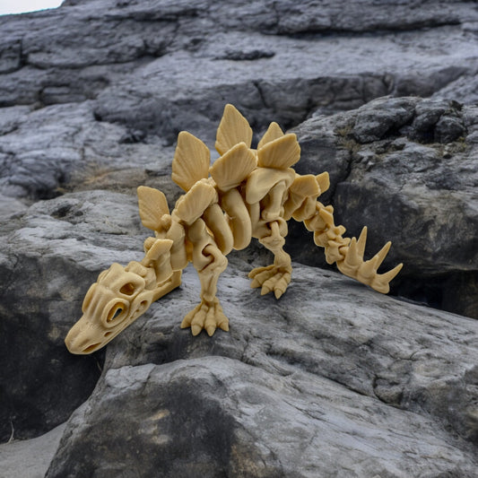 Skeleton Stegosaurus - Medium