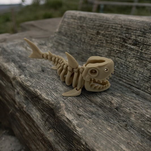 Skeleton Shark - Medium